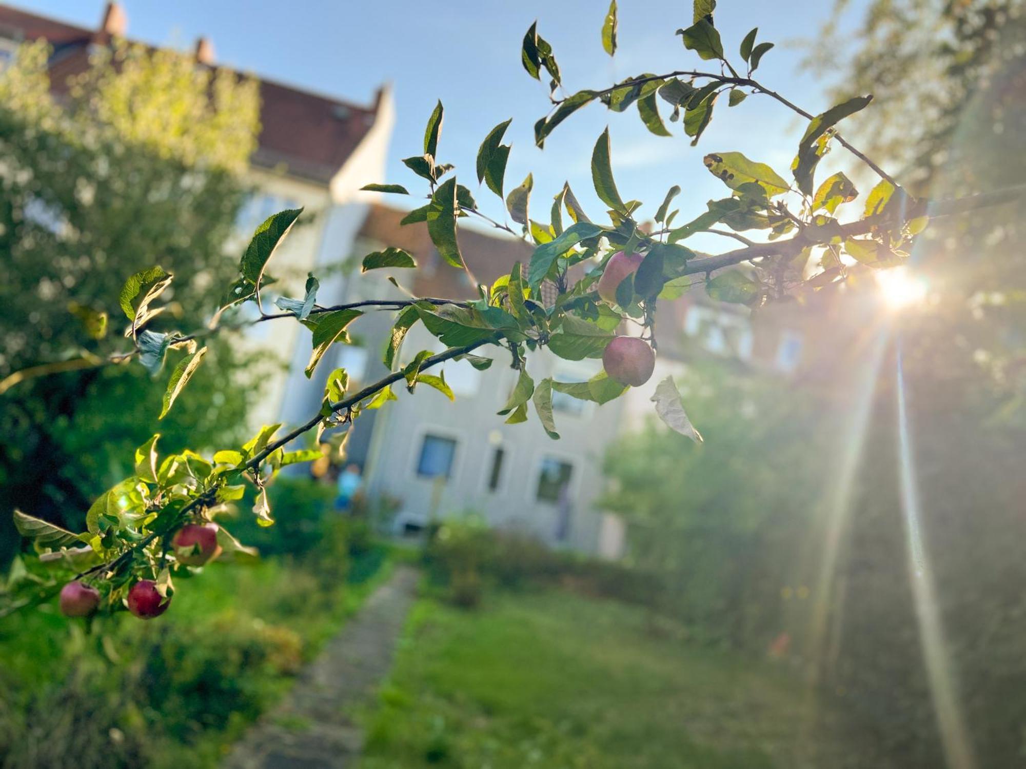 Immostay #8 - Haus Fuer 13 Personen Mit 7 Zimmer - Grosser Garten & Grill, Free Parking, Wlan BRE 外观 照片